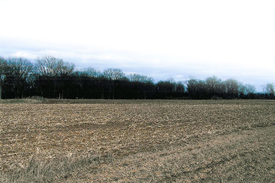LAND AUCTION, 94+/- Acres offered in 3 Tracts